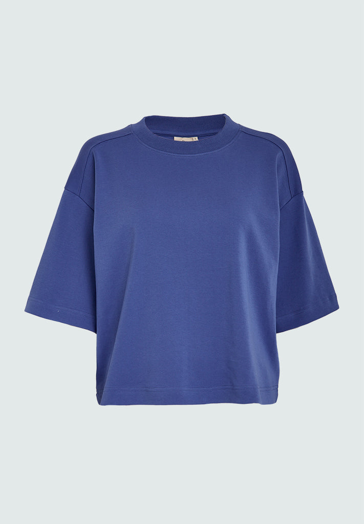 Peppercorn PCFiola GOTS T-shirt T-Shirt 1211 Amparo Blue