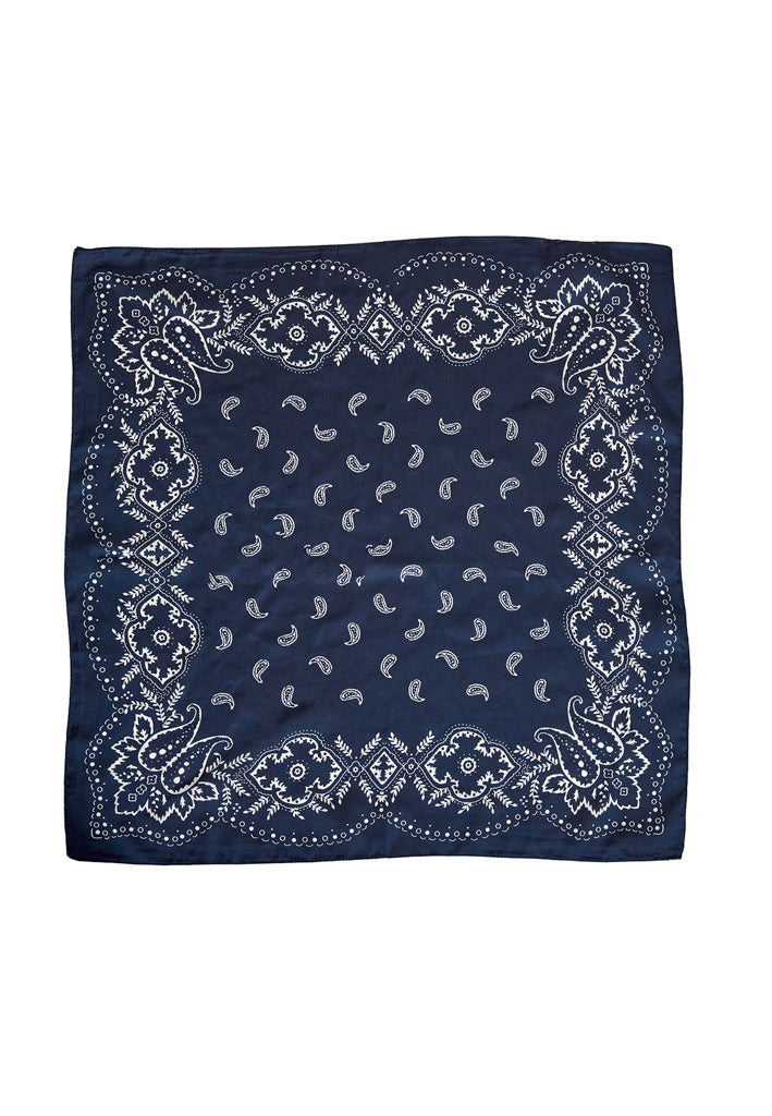Peppercorn PCPolette Scarf Scarf 2994P Sky Captain Print